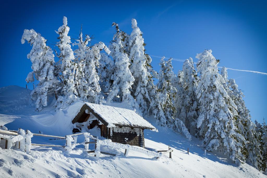 Appartement Baumgartner Westendorf Kamer foto